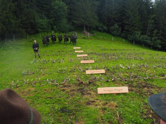 201907 - Abwurfstangenschau Rauschalm
